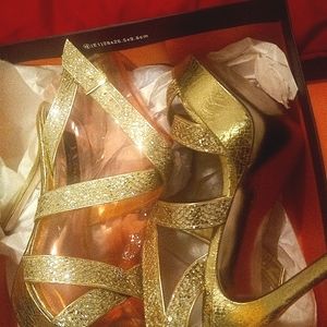 Nina Shoes  1/2 in Plant Silv Glit  size 91/2